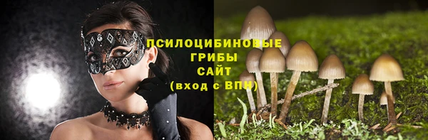 мяу мяу мука Тында