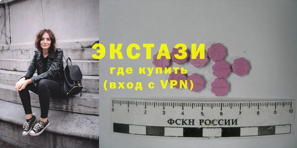 твердый Туринск