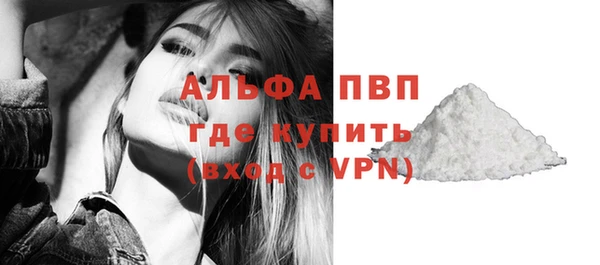 твердый Туринск