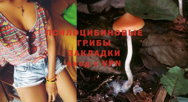 твердый Туринск