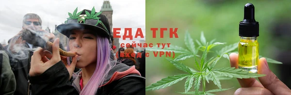 твердый Туринск
