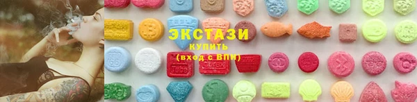 твердый Туринск