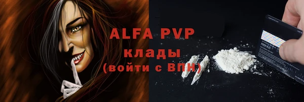 твердый Туринск