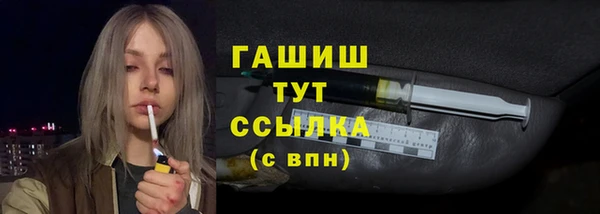 твердый Туринск