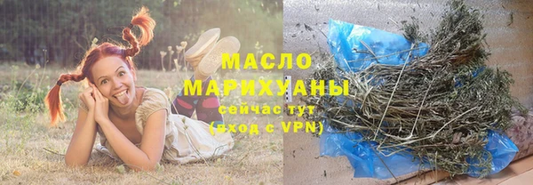 твердый Туринск