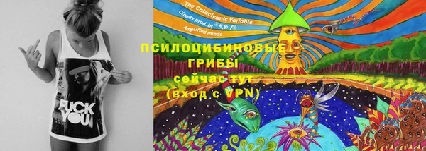 мяу мяу мука Тында