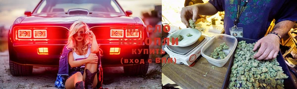 твердый Туринск